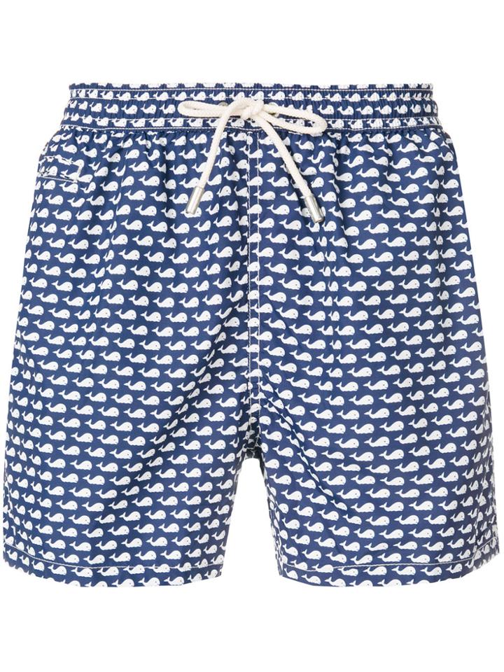 Mc2 Saint Barth Whale Print Swim Shorts - Blue