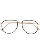 Kyme Beverly Glasses, Brown, Metal/cellulose