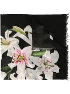 Dolce & Gabbana Lily Print Twill Scarf - Black