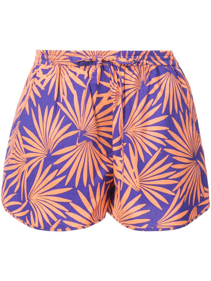 Dvf Diane Von Furstenberg Tropical Print Shorts - Pink & Purple