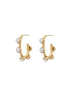 Cornelia Webb Gold Metallic Freshwater Pearl Hoop Earrings