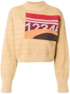 3.1 Phillip Lim Graphic Faux-plaited Cropped Pullover - Brown