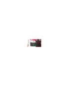 Fashion Concierge Vip Chanel - Chanel Bag - Unavailable