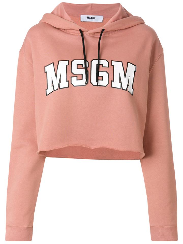Msgm Logo Hooded Sweatshirt - Pink & Purple
