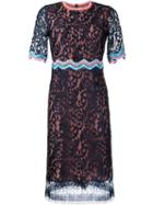 Peter Pilotto - Ric-rac Trim Lace Dress - Women - Polyamide/viscose - 6, Blue, Polyamide/viscose