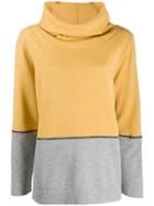 Fabiana Filippi Two-tone Cowl-neck Jumper - Yellow