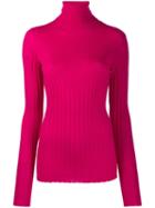 Nude Roll Neck Knitted Top - Pink