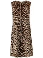 Dolce & Gabbana Leopard Print Shift Dress - Brown