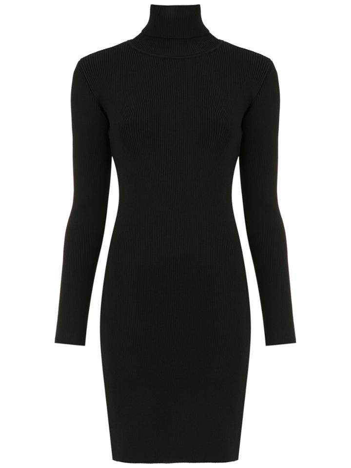 Egrey Ribbed Turtle Neck Dress - Black