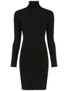 Egrey Ribbed Turtle Neck Dress - Black