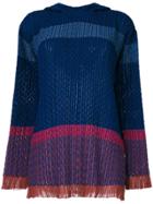 Stella Mccartney Hooded Sweater - Blue
