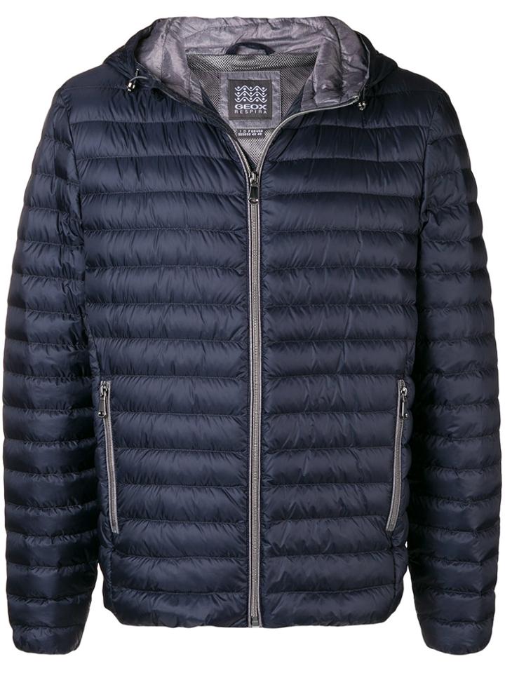 Geox Padded Jacket - Blue