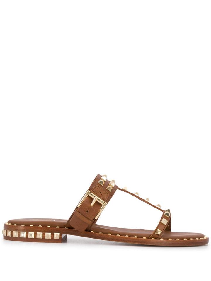 Ash T-bar Flat Sandals - Brown