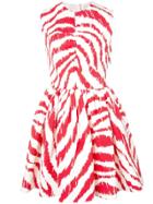 Msgm Zebra Print Dress - Red
