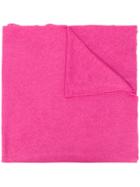 Ermanno Scervino Lace Trim Scarf - Pink & Purple