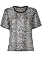 Saint Laurent Leopard Print Semi-sheer T-shirt - Grey