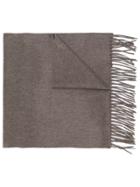 Canali Fringed Trim Scarf - Brown