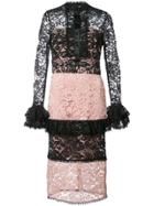Alexis Panelled Lace Dress - Black