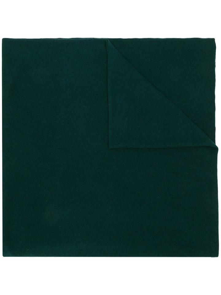 Fabiana Filippi Knit Scarf - Green