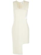Gloria Coelho Panelled Dress - Nude & Neutrals