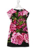 Dolce & Gabbana Kids Rose Print Shift Dress, Girl's, Size: 6 Yrs, Pink/purple