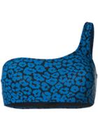 Stella Mccartney Leopard Print Bikini Top - Blue