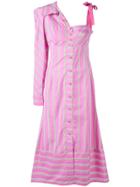 Silvia Tcherassi Striped Asymmetric Shirt Dress - Purple