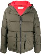 Closed Padded Hooded Jacket - Green
