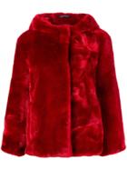 Tagliatore Kate/clh2008r1477 - Red
