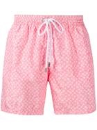 Barba Swimming Shorts - Pink