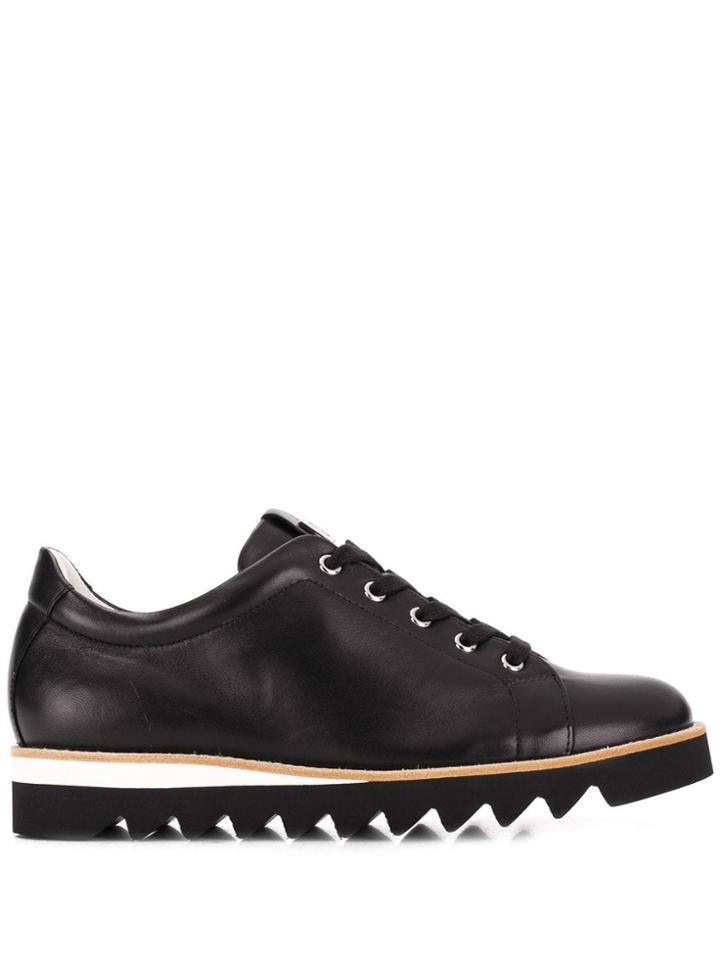 Hogl Lace-up Wedge Shoes - Black