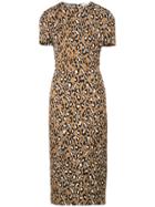 Dvf Diane Von Furstenberg Tailored Midi Dress - Brown