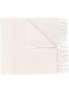 Mackintosh Oatmeal Cashmere Embroidered Scarf Acc-013/e - Neutrals