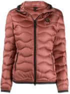 Blauer Bldc03003005472372 - Brown