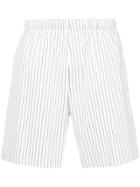 Roar Striped Shorts - White