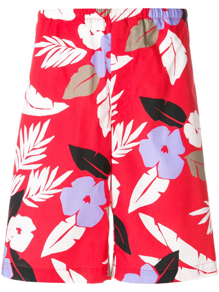 Msgm Floral Print Bermuda Shorts - Red