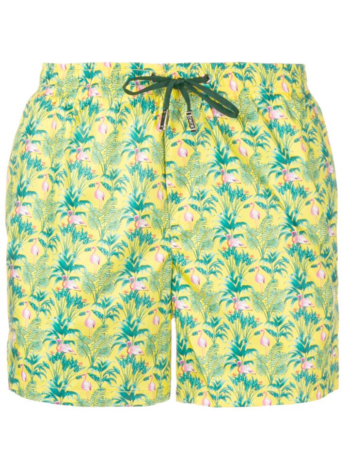 Fefè Flamingo Print Swim Shorts - Green