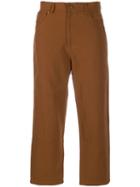 Polder - Brown