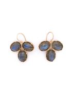 Irene Neuwirth 18kt Rose Gold Labradorite Earrings