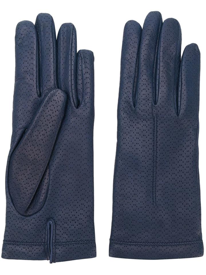Omega Perforated Details Gloves - Blue