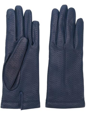 Omega Perforated Details Gloves - Blue