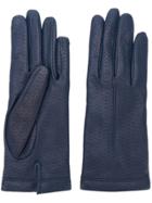 Omega Perforated Details Gloves - Blue