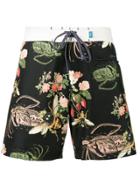 Riz Boardshorts Black Bee Print Burgh Swim Shorts