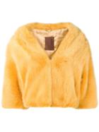 Liska Haus Cropped Fur Jacket - Yellow