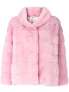 Simonetta Ravizza Standing Collar Fur Jacket - Pink & Purple