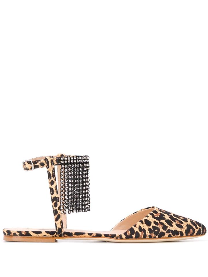 Polly Plume Flat Ballerina Shoes - Black