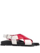 Sofie D'hoore Crossover Sandals - Red