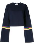 Être Cécile Rainbow Cropped Sweatshirt - Blue