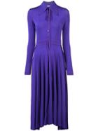 Nina Ricci Pointed Collar Dress - Purple