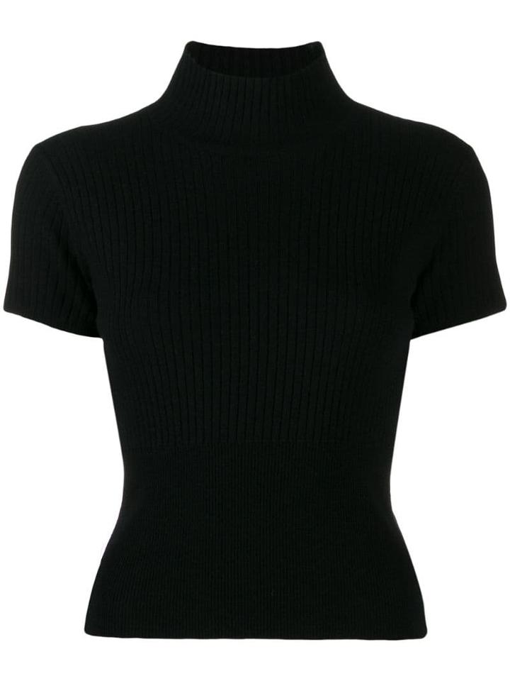 Pinko Turtle Neck Jersey Top - Black